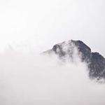 Cali Gislason Profile Picture
