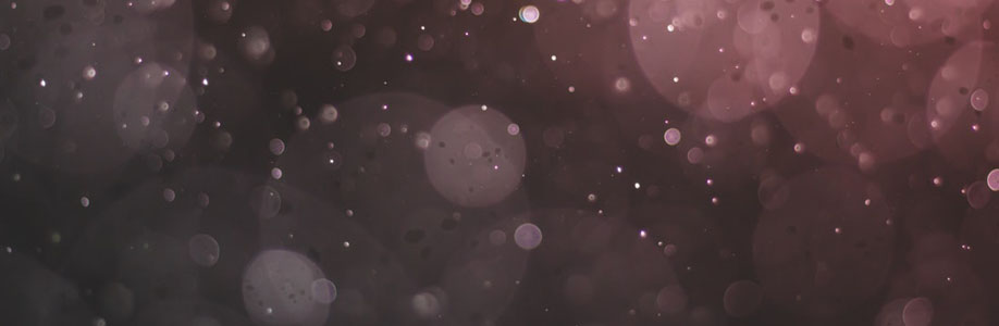 Stephon Borer Cover Image